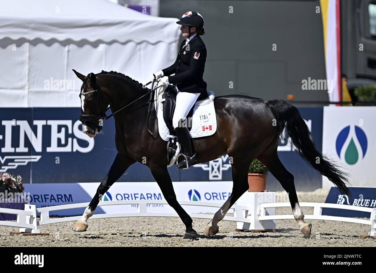 Herning. Denmark. 13 August 2022. World Equestrian Games.Roberta Sheffield (CAN) riding FAIRUZA during the FEI Para Dressage Team championships - Grade III. Stock Photo