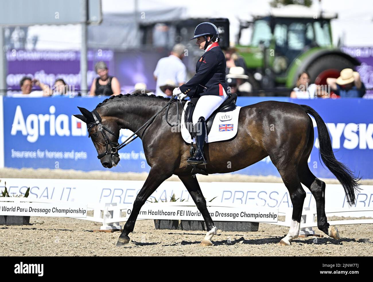 Herning, Denmark. 13th Aug, 2022. World Equestrian Games.Natasha Baker (GBR) riding KEYSTONE DAWN CHORUS during the FEI Para Dressage Team championships - Grade III. Credit: Sport In Pictures/Alamy Live News Stock Photo