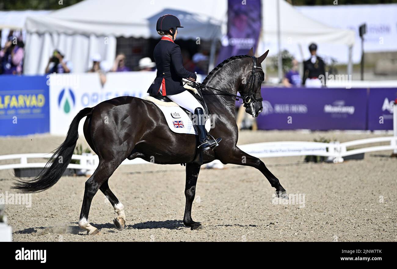 Herning. Denmark. 13 August 2022. World Equestrian Games.Sophie Wells (GBR) riding DON CARA M during the FEI Para Dressage Team championships - Grade III. Stock Photo