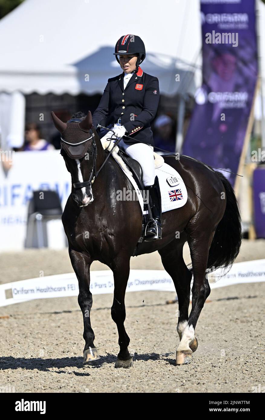 Herning, Denmark. 13th Aug, 2022. World Equestrian Games.Sophie Wells (GBR) riding DON CARA M during the FEI Para Dressage Team championships - Grade III. Credit: Sport In Pictures/Alamy Live News Stock Photo