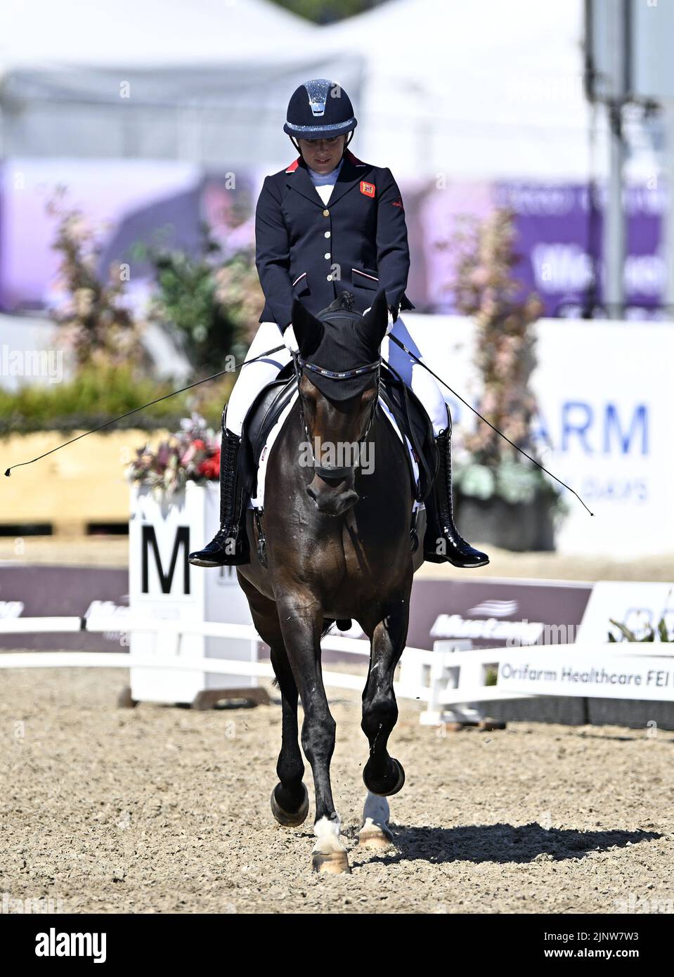 Herning, Denmark. 13th Aug, 2022. World Equestrian Games.Natasha Baker (GBR) riding KEYSTONE DAWN CHORUS during the FEI Para Dressage Team championships - Grade III. Credit: Sport In Pictures/Alamy Live News Stock Photo