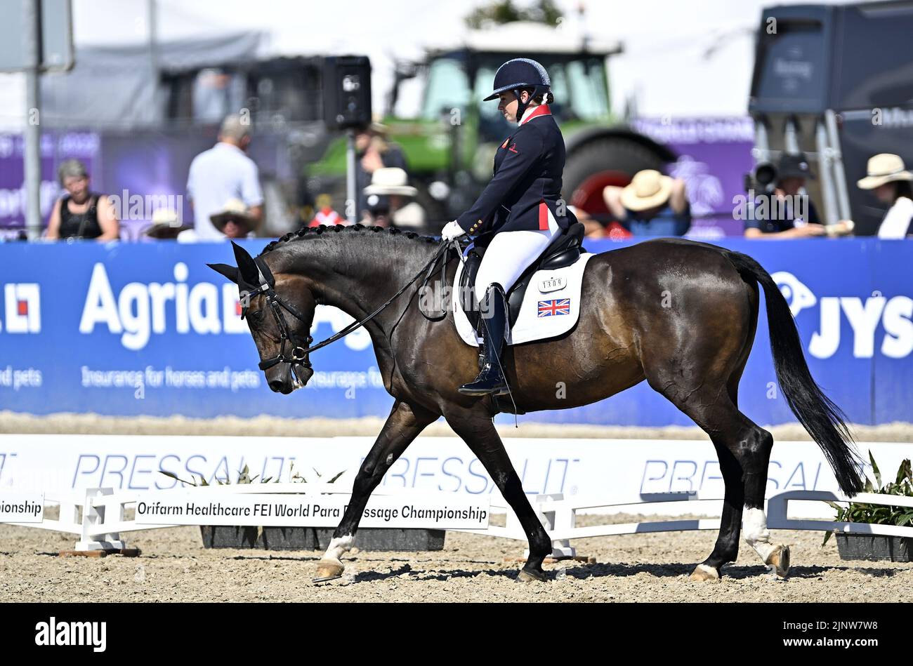 Herning, Denmark. 13th Aug, 2022. World Equestrian Games.Natasha Baker (GBR) riding KEYSTONE DAWN CHORUS during the FEI Para Dressage Team championships - Grade III. Credit: Sport In Pictures/Alamy Live News Stock Photo