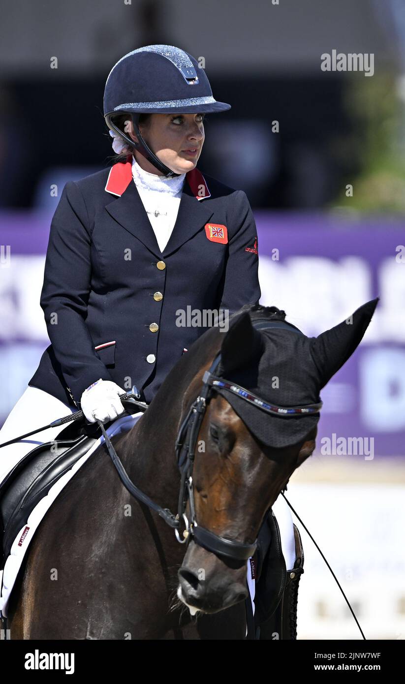 Herning, Denmark. 13th Aug, 2022. World Equestrian Games.Natasha Baker (GBR) riding KEYSTONE DAWN CHORUS during the FEI Para Dressage Team championships - Grade III. Credit: Sport In Pictures/Alamy Live News Stock Photo