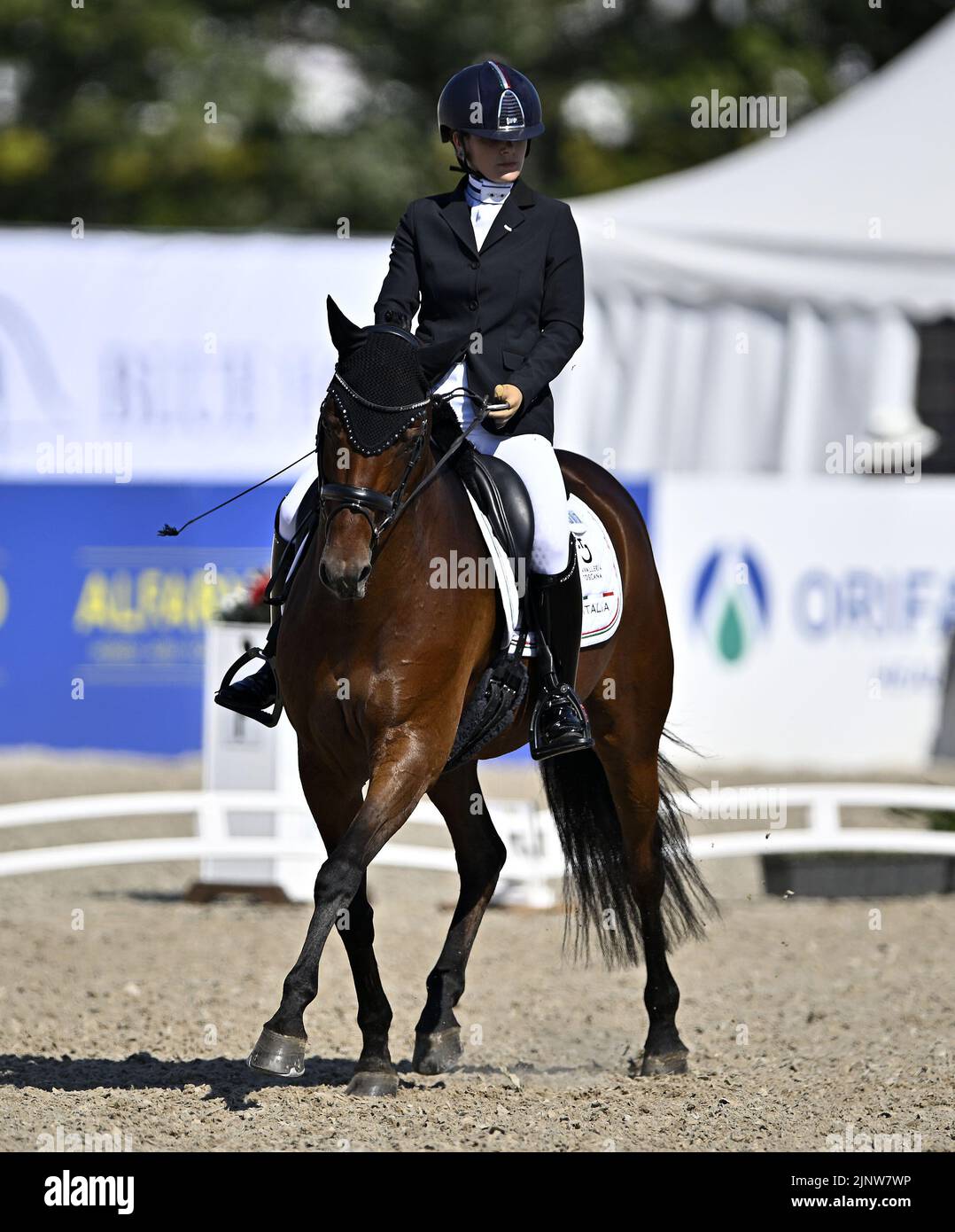 Herning, Denmark. 13th Aug, 2022. World Equestrian Games.Federica Sileoni (ITA) riding BURBERRY during the FEI Para Dressage Team championships - Grade III. Credit: Sport In Pictures/Alamy Live News Stock Photo