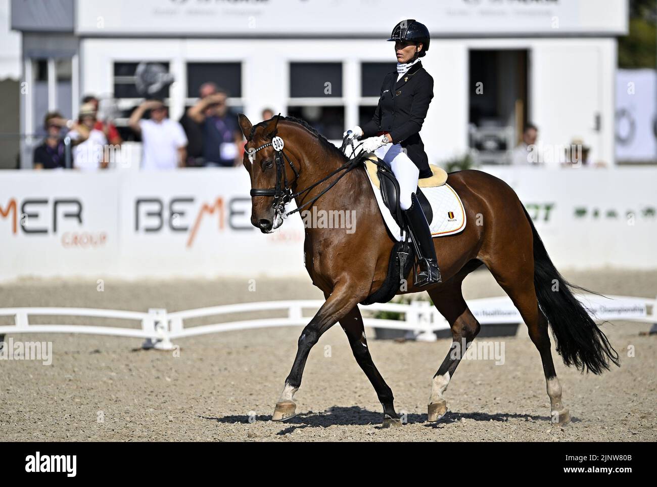 Herning, Denmark. 13th Aug, 2022. World Equestrian Games.Michèle George (BEL) riding BEST OF 8 during the FEI Para Dressage Team championships - Grade III. Credit: Sport In Pictures/Alamy Live News Stock Photo