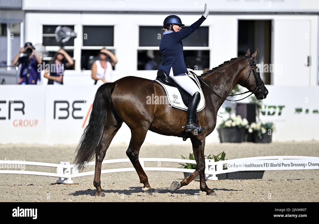 Herning, Denmark. 13th Aug, 2022. World Equestrian Games.Lena Malmström (SWE) riding FABULOUS FIDELIE during the FEI Para Dressage Team championships - Grade III. Credit: Sport In Pictures/Alamy Live News Stock Photo