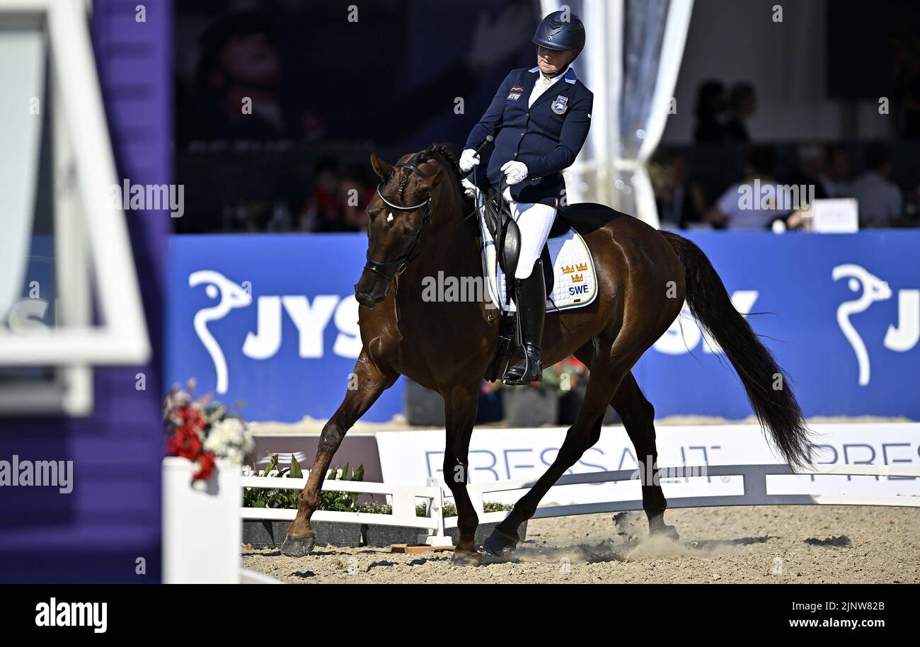 Herning, Denmark. 13th Aug, 2022. World Equestrian Games.Lena Malmström (SWE) riding FABULOUS FIDELIE during the FEI Para Dressage Team championships - Grade III. Credit: Sport In Pictures/Alamy Live News Stock Photo