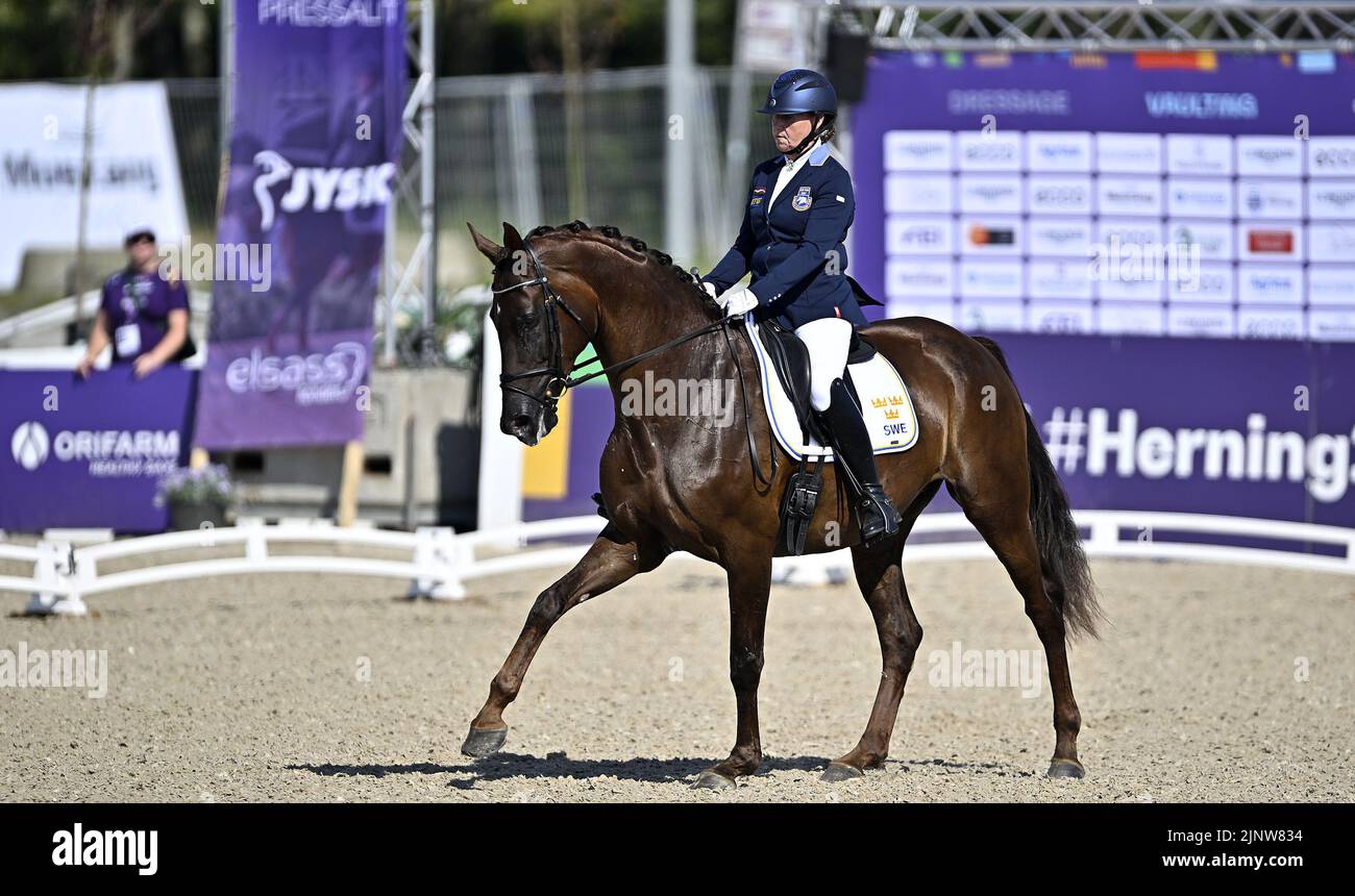 Herning, Denmark. 13th Aug, 2022. World Equestrian Games.Lena Malmström (SWE) riding FABULOUS FIDELIE during the FEI Para Dressage Team championships - Grade III. Credit: Sport In Pictures/Alamy Live News Stock Photo