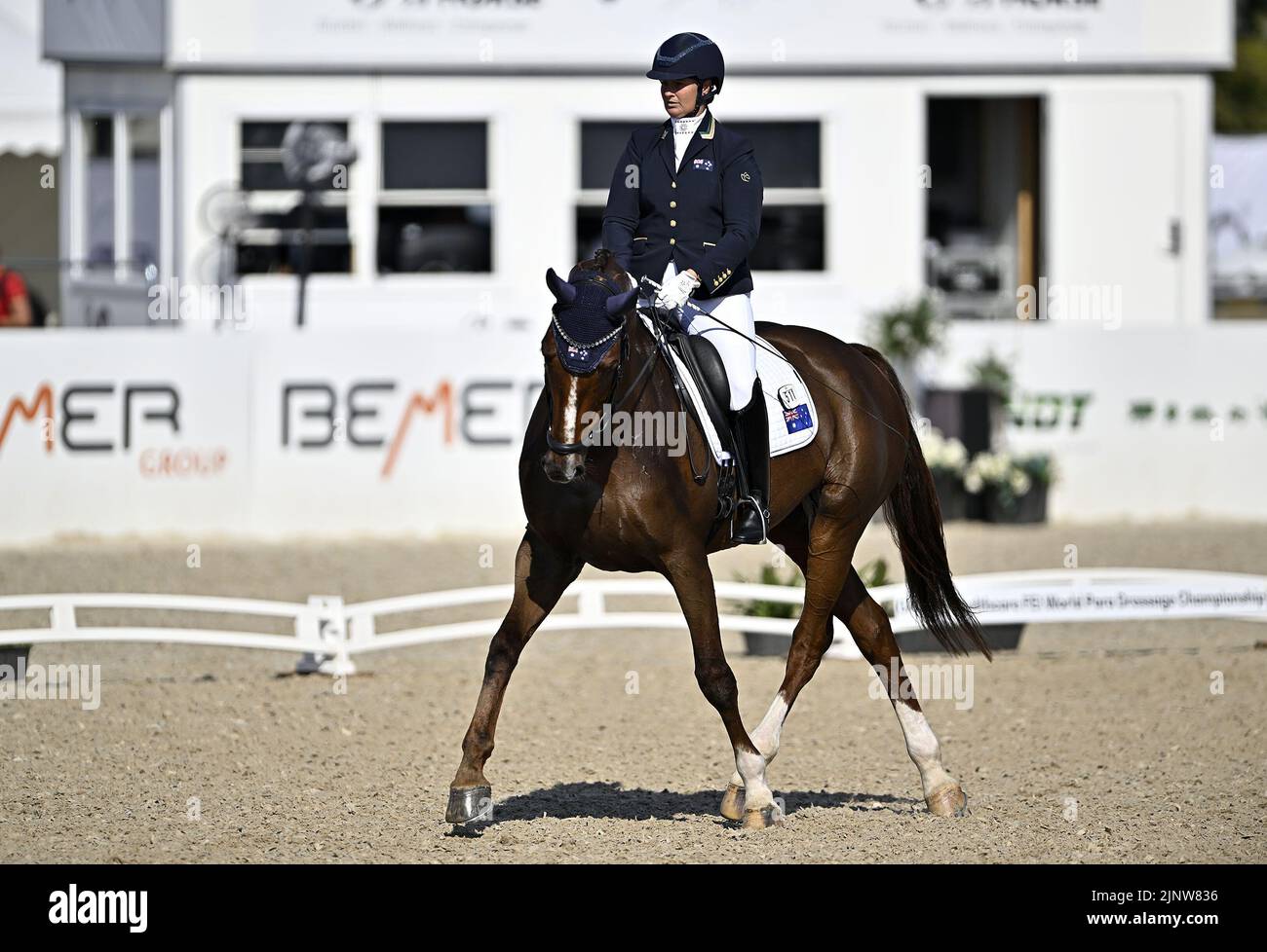 Herning, Denmark. 13th Aug, 2022. World Equestrian Games.Lisa Martin (AUS) riding JUICY WIGGLE during the FEI Para Dressage Team championships - Grade III. Credit: Sport In Pictures/Alamy Live News Stock Photo