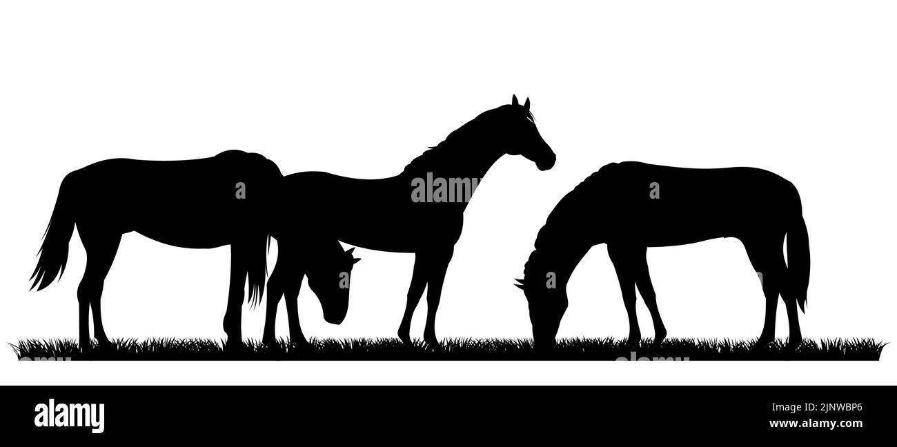 Horses are grazing. Picture silhouette. Farm pets. Animals domestic traditional. Isolated on white background. Vector Goat with kid near the herd. Stock Vector