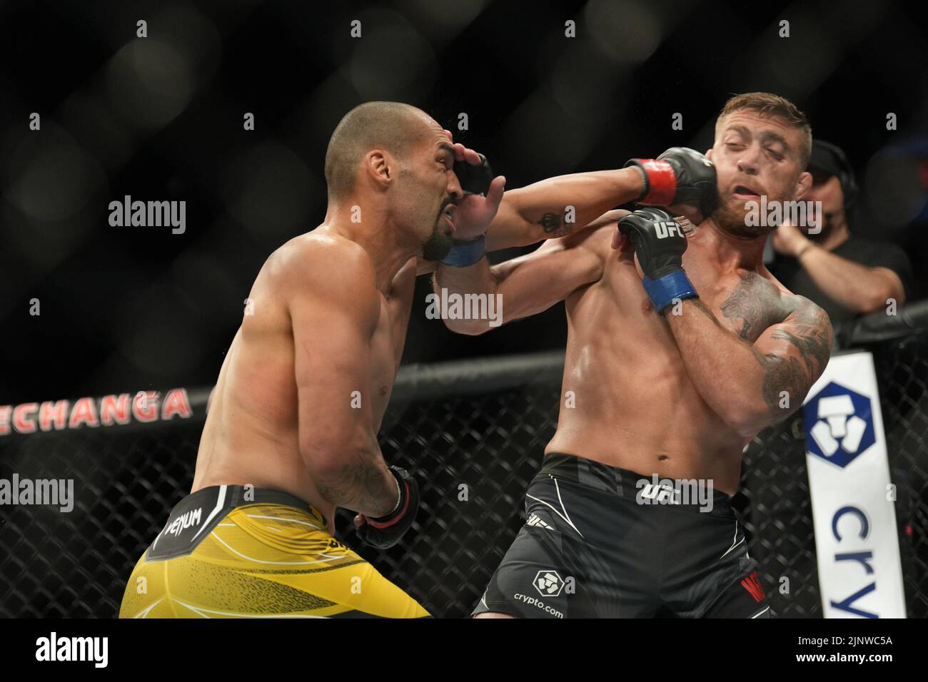 SAN DIEGO, CA - AUGUST 13: (L-R) Bruno Silva punches Gerald Meerschaert in their Middleweight bout during the UFC Fight Night: Vera v Cruz event at Pechanga Arena on August 13, 2022, in San Diego, California, United States. (Photo by Louis Grasse/PxImages) Stock Photo