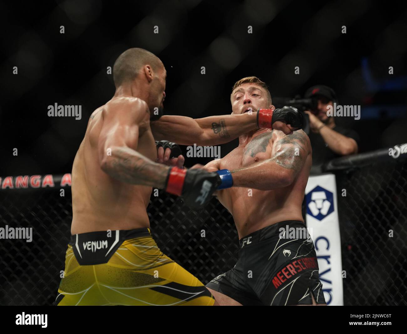 SAN DIEGO, CA - AUGUST 13: (L-R) Bruno Silva punches Gerald Meerschaert ...