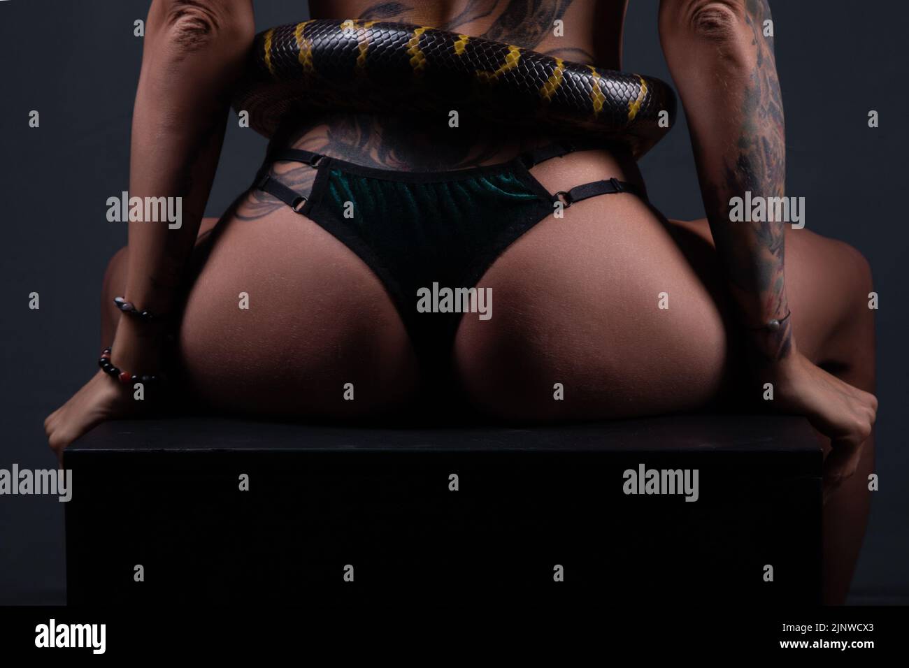 Photo of the sitting woman from back with anaconda on waist Stock Photo