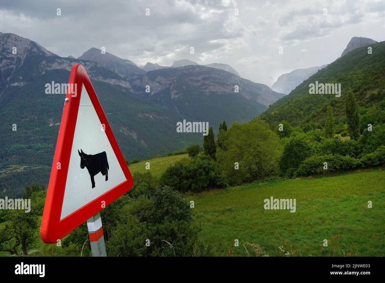 View of a green mountainscape with a danger sign in the foreground featuring a cow silhoutte Stock Photo