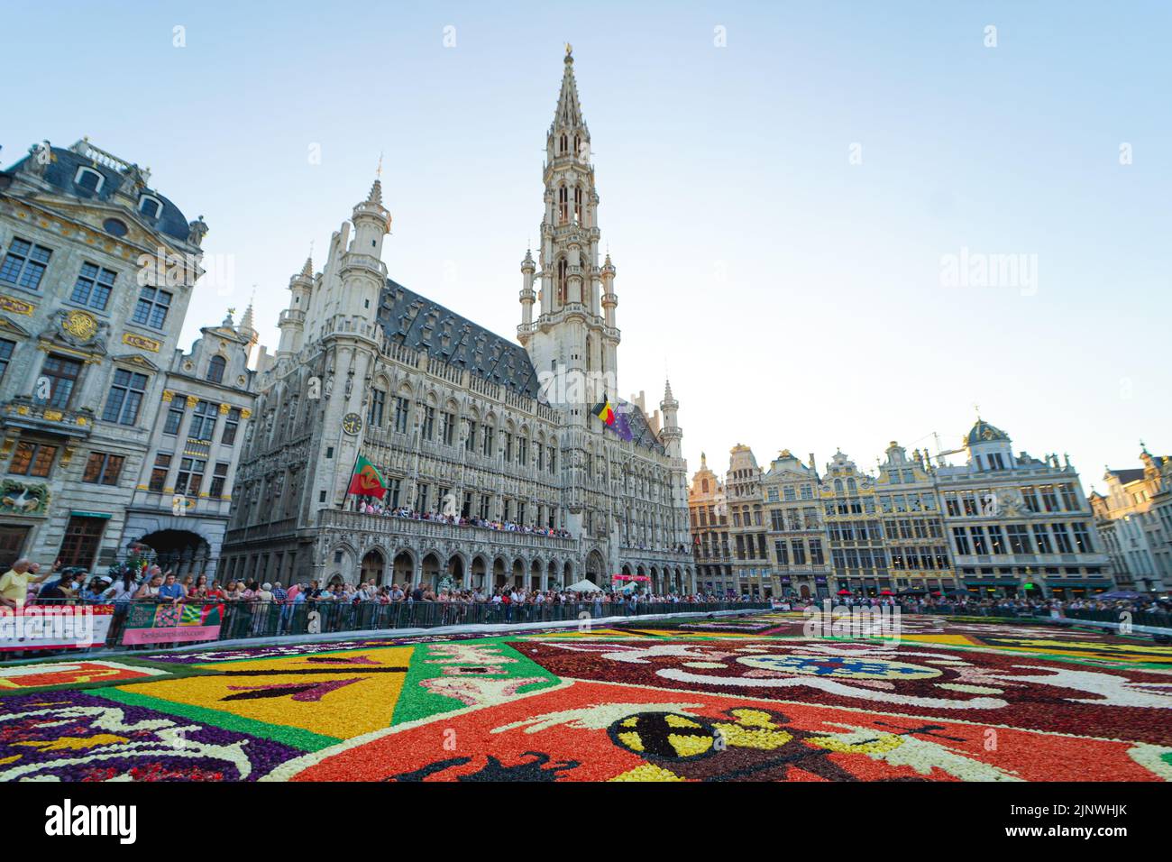 Flowers carpet in the Grand Place, Brussels, Belgium Stock Photo Alamy