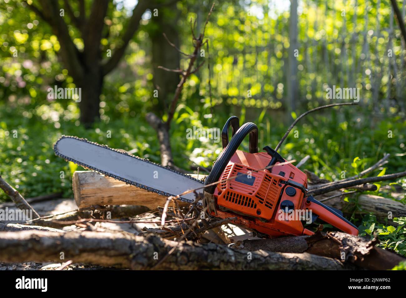 Close-up professional chainsaw blade cutting log of wood Stock Photo ...