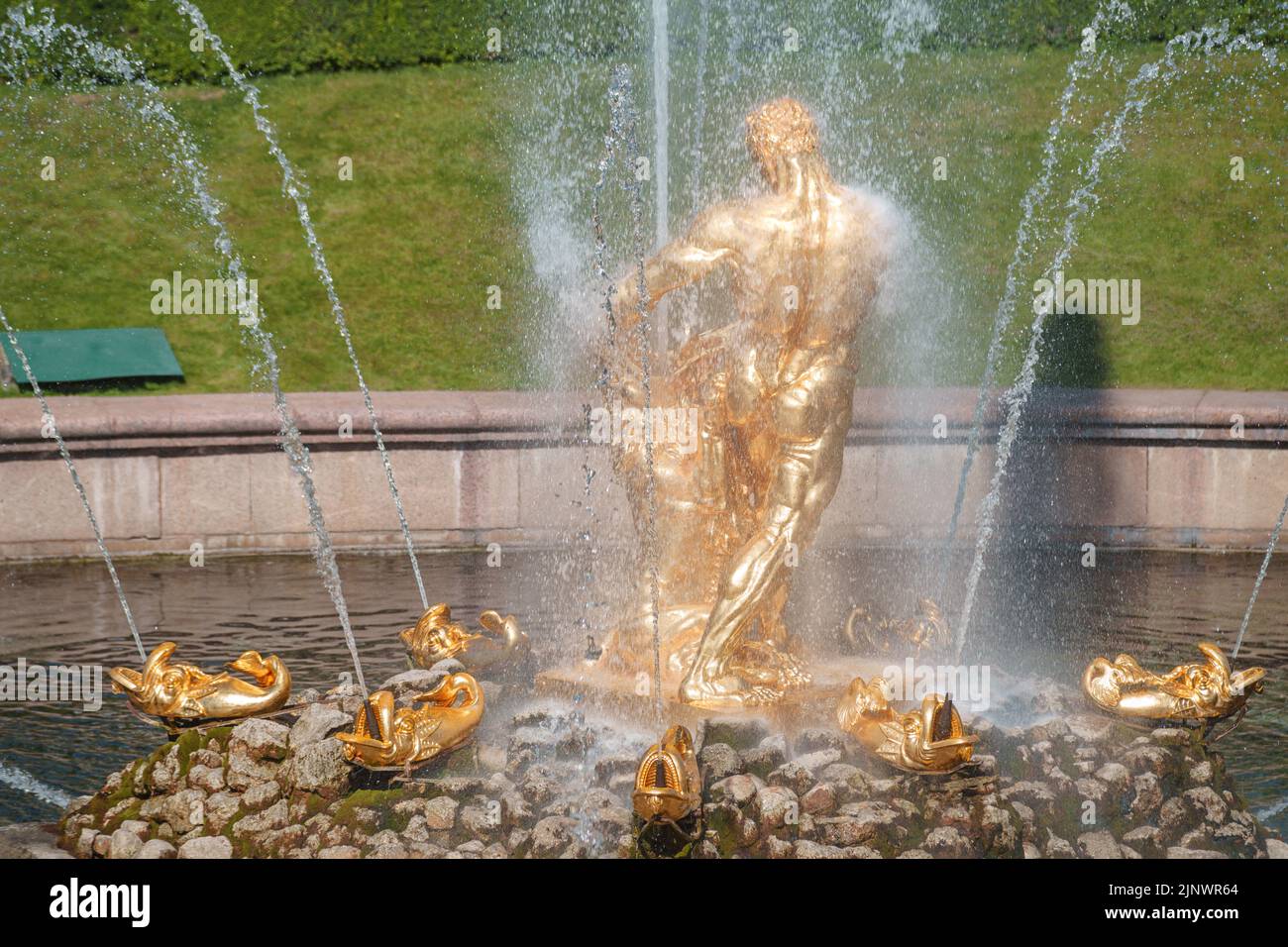 22 June 2022, Peterhof, Saint Petersburg, Russia. Golden Samson sculpture, part of the 'Samson' fountain of the great cascade of the lower park of Pet Stock Photo