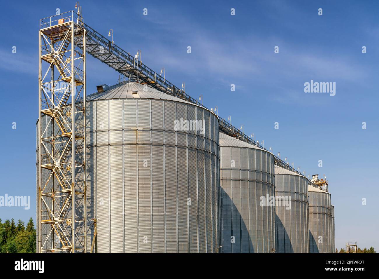 Large metal elevator tanks against a bright blue sky. Silo or granary at sunny day Stock Photo