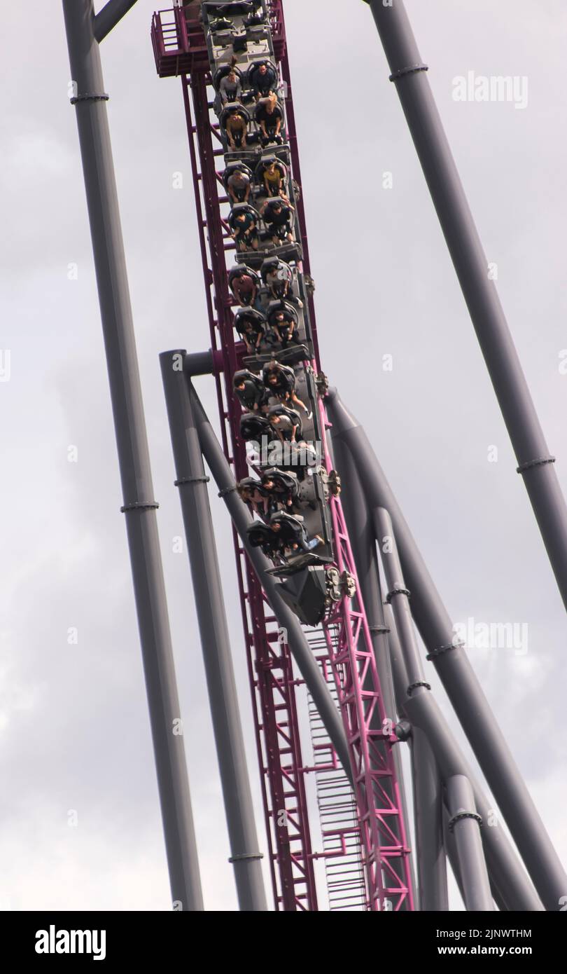 Riders on vertical drop of roller coaster. View from public road of Warner Brothers Movie World purple Hypercoaster thrill ride. Gold Coast, Australia Stock Photo