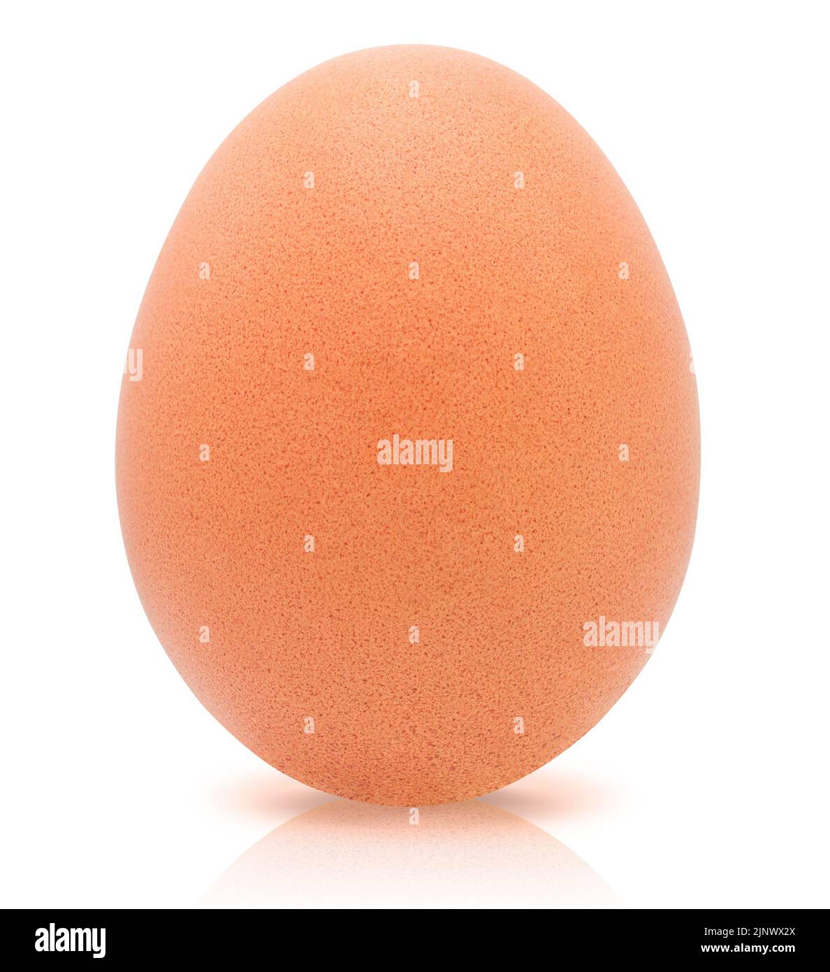 Egg isolated on white background with clipping path,Close up,Shadow Stock Photo