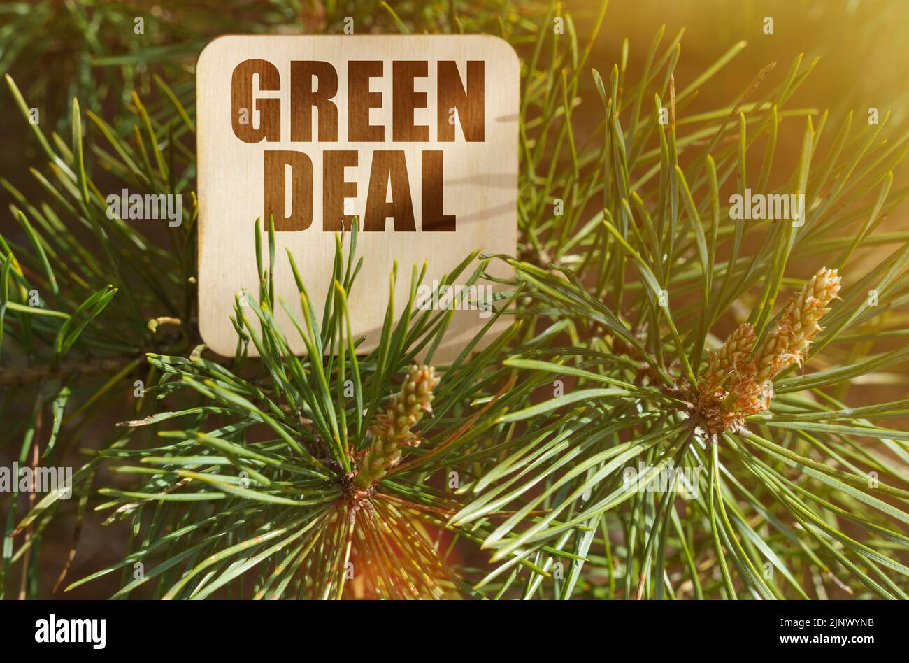 Ecology concept. Among the pine branches is a sign with the inscription - Green Deal Stock Photo