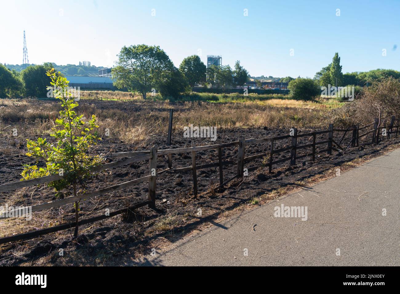 Scorched earth, summer grass-land fires, wildland fires, Increasing temperatures, hot, dry weather, grass, wildfires, urban, rural areas, no rainfall. Stock Photo