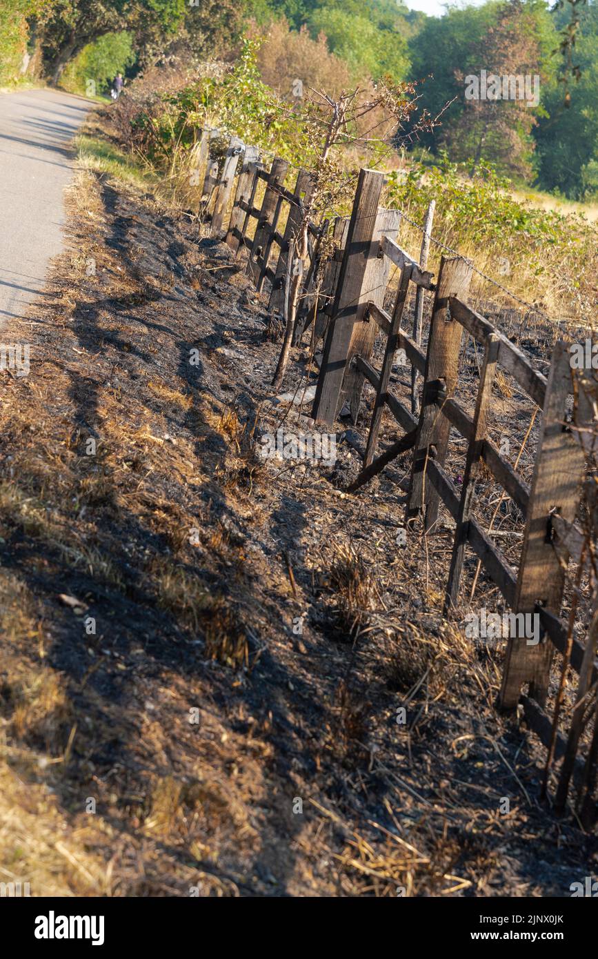 Scorched earth, summer grass-land fires, wildland fires, Increasing temperatures, hot, dry weather, grass, wildfires, urban, rural areas, no rainfall. Stock Photo
