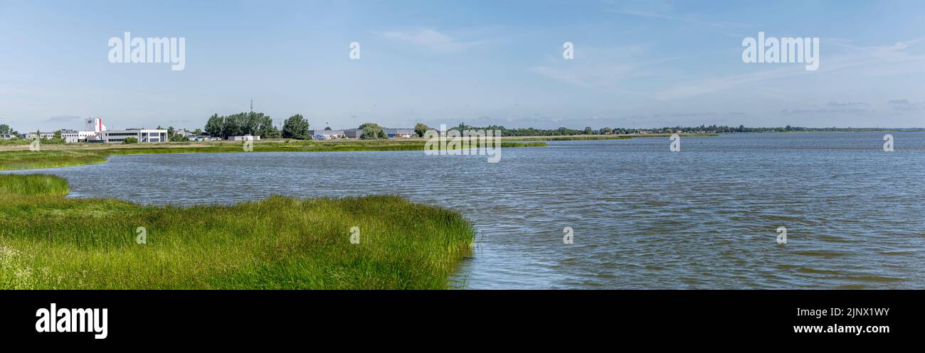 landscape with green shore of lagoon at Koge bay with scattered ...