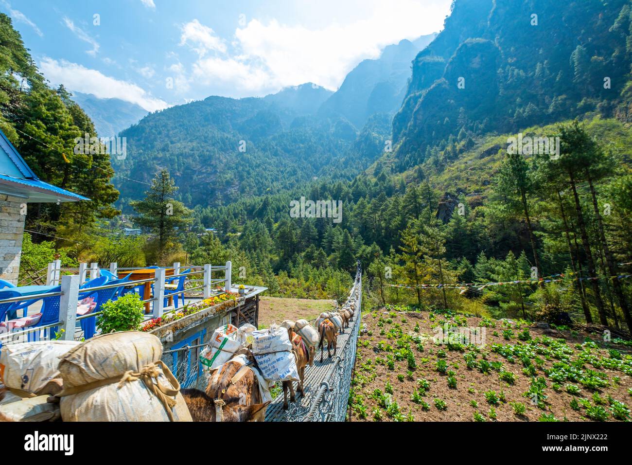 Tourist and Nepali walking from Namche bazaar to Lukla with a group of