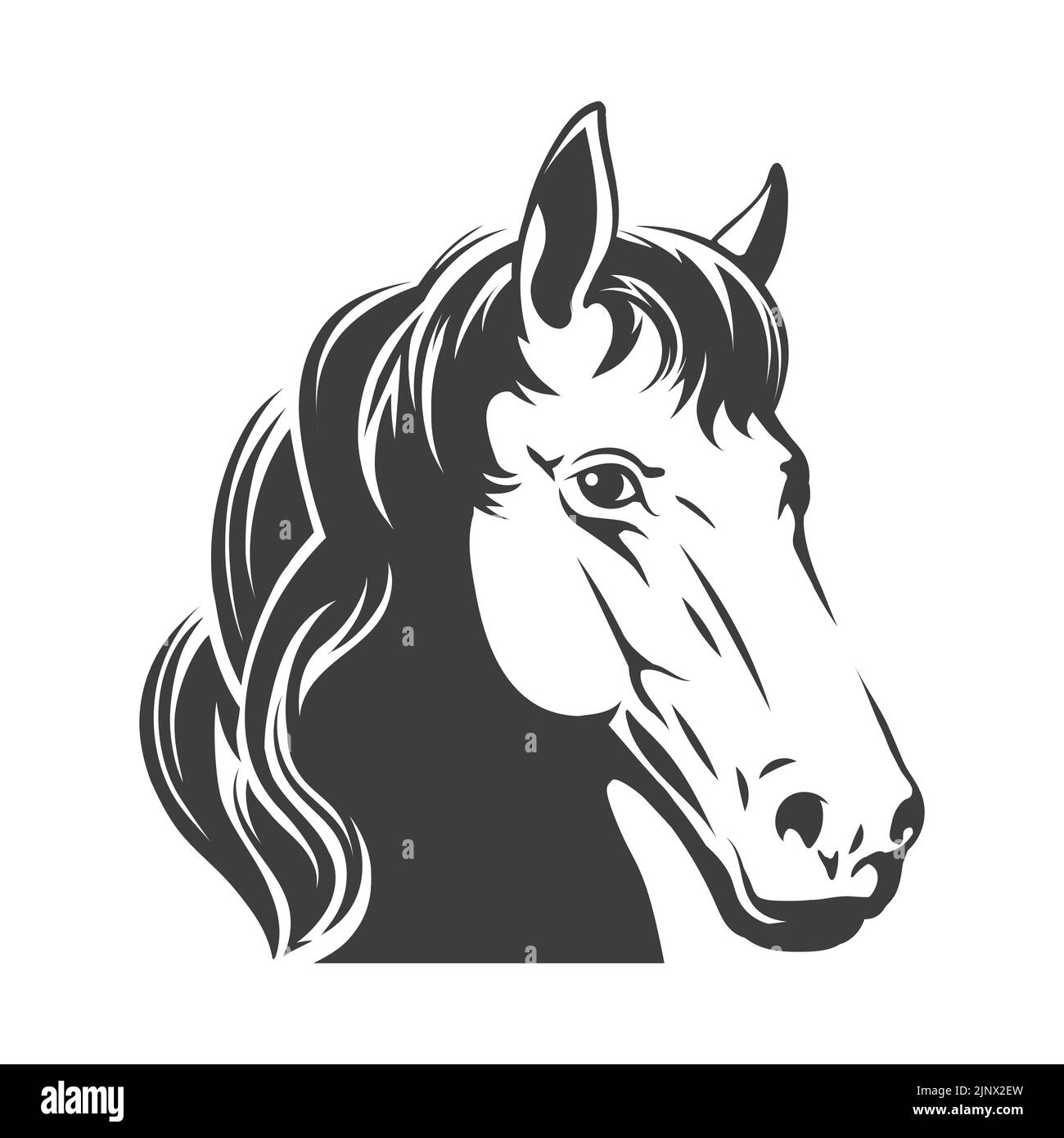 Wild mustang head Stock Vector Image & Art - Alamy