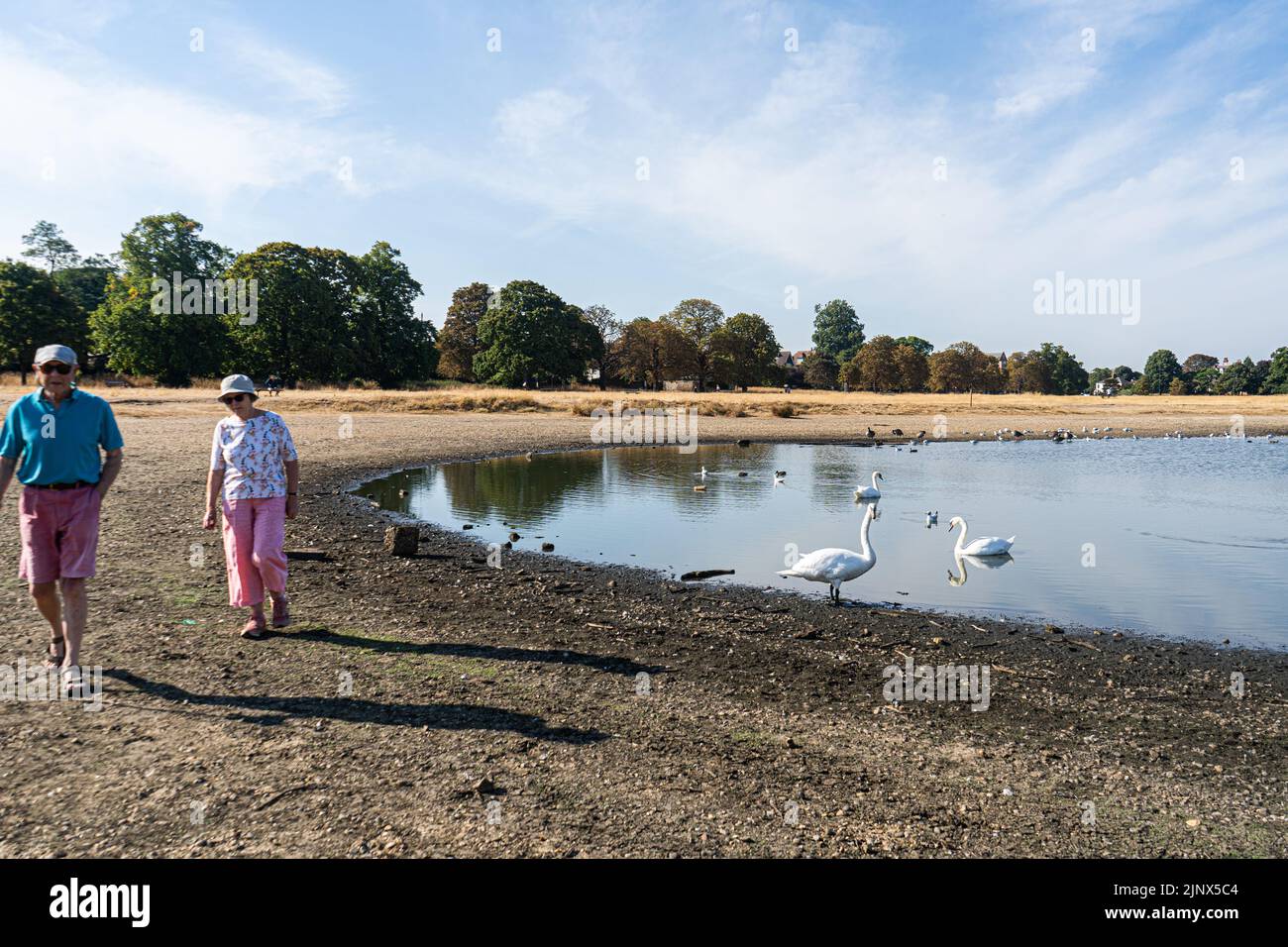 Wimbledon London, UK. 14 August 2022 . People walk past the dried lake on Wimbledon Common, south west London  this morning  as the dry and hot conditions' continue with temperatures set to reach 33Celisius. The Met Office has issued an amber extreme heat warning across England and Wales lasting for the rest of the week when temperatures are expected to rise above 30Celsius as the driest spell in England for 46 years continues and a drought has been officially declared by the Environment Agency..Credit. amer ghazzal/Alamy Live News Stock Photo