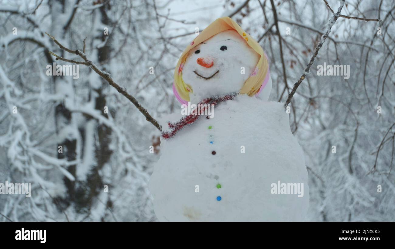 Happy funny snowman-woman, on background of a strong snowfall. Stock Photo
