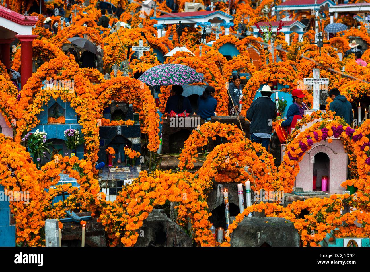 Mixtec indigenous people take part in the Day of the Dead celebrations