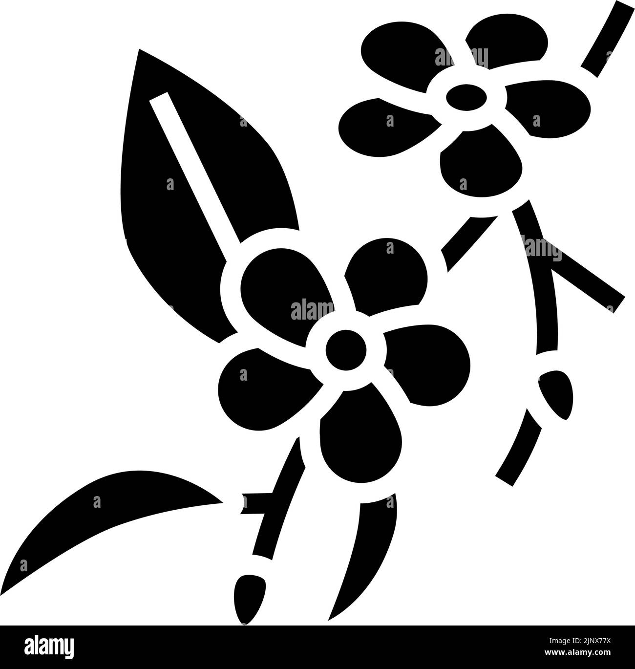 cherry blossoms glyph icon vector illustration Stock Vector Image & Art ...