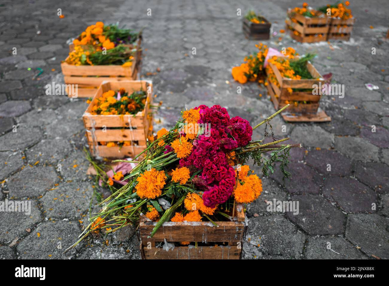 Wooden boxes filled with marigold flowers are placed on the street during the Day of the Dead celebration in Metlatónoc, Guerrero, Mexico. Stock Photo