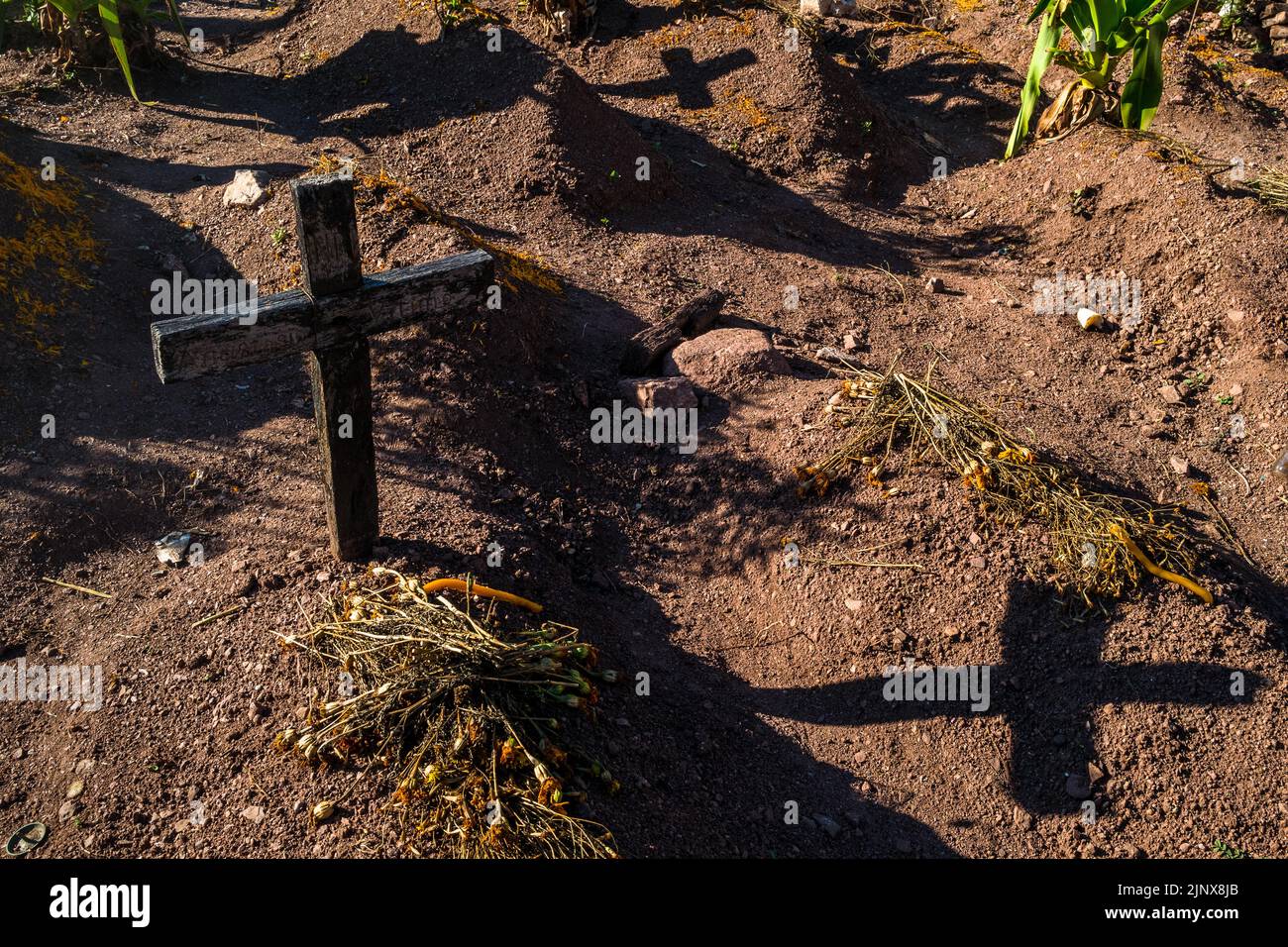 A wooden grave cross is seen on a dirt grave at a cemetery during the