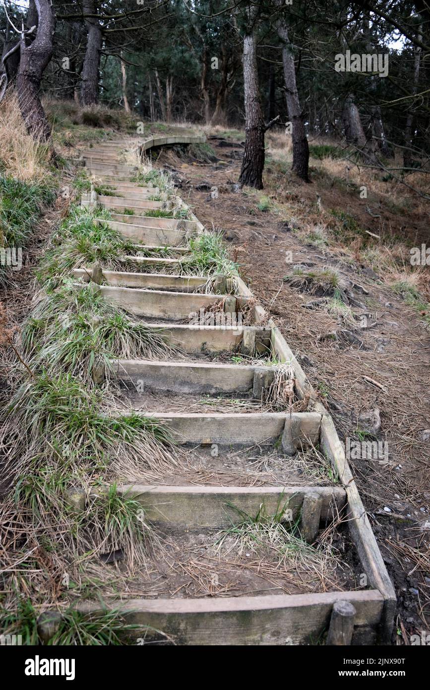 Wooden steps on a trail along the Basque coast, San Sebatian, Spain Stock Photo