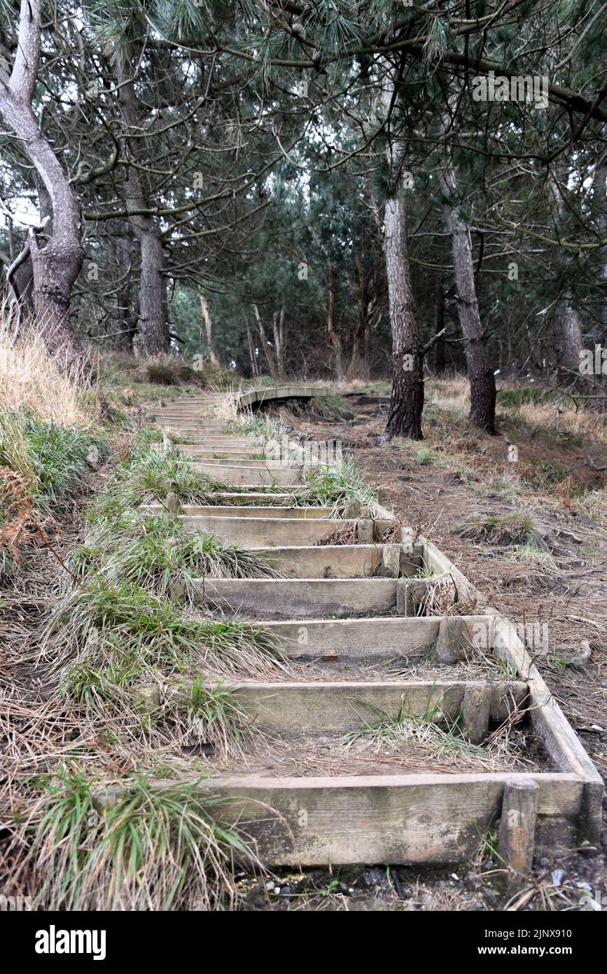 Wooden steps on a trail along the Basque coast, San Sebatian, Spain Stock Photo