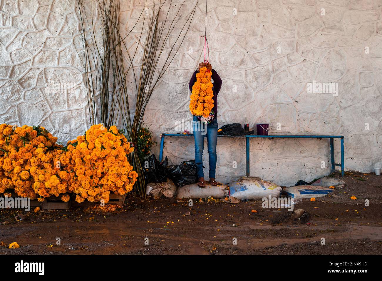 A young Mexican woman sells bunches of marigold flowers for the Day of the Dead celebrations in the market in Tlapa de Comonfort, Mexico. Stock Photo