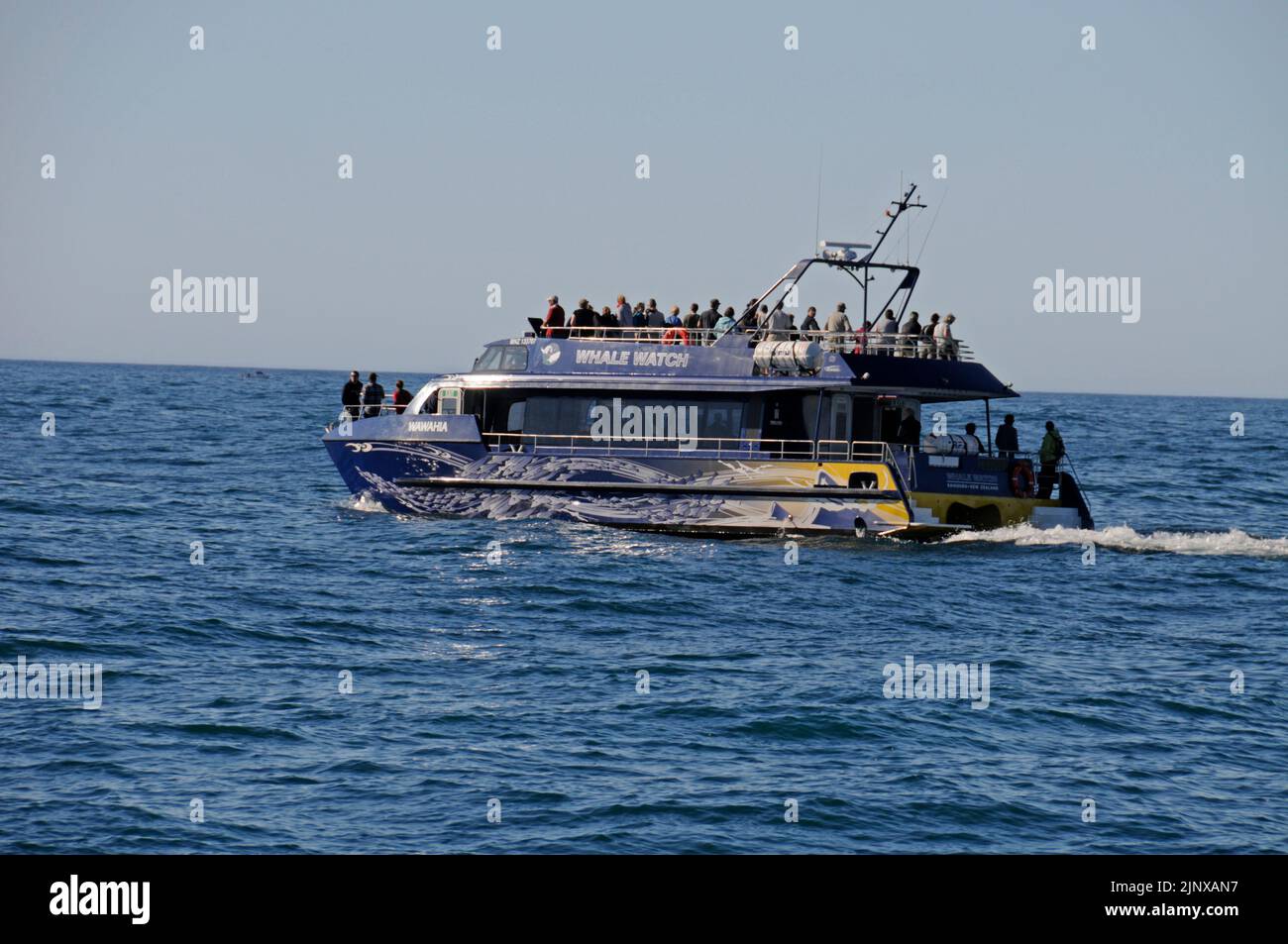 A tourist whale-watching boat  heads out into the Pacific Ocean near Kaikoura on South Island, New Zealand Stock Photo