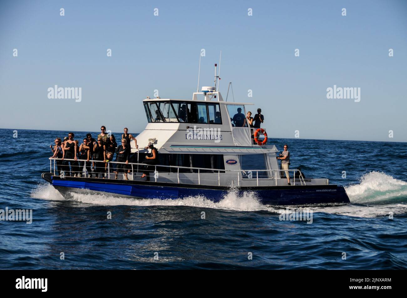 A group of tourists on a Dolphin watch boat spots an Orca or killer Whale near Kaikoura on the east coast of South Island in New Zealand. Stock Photo