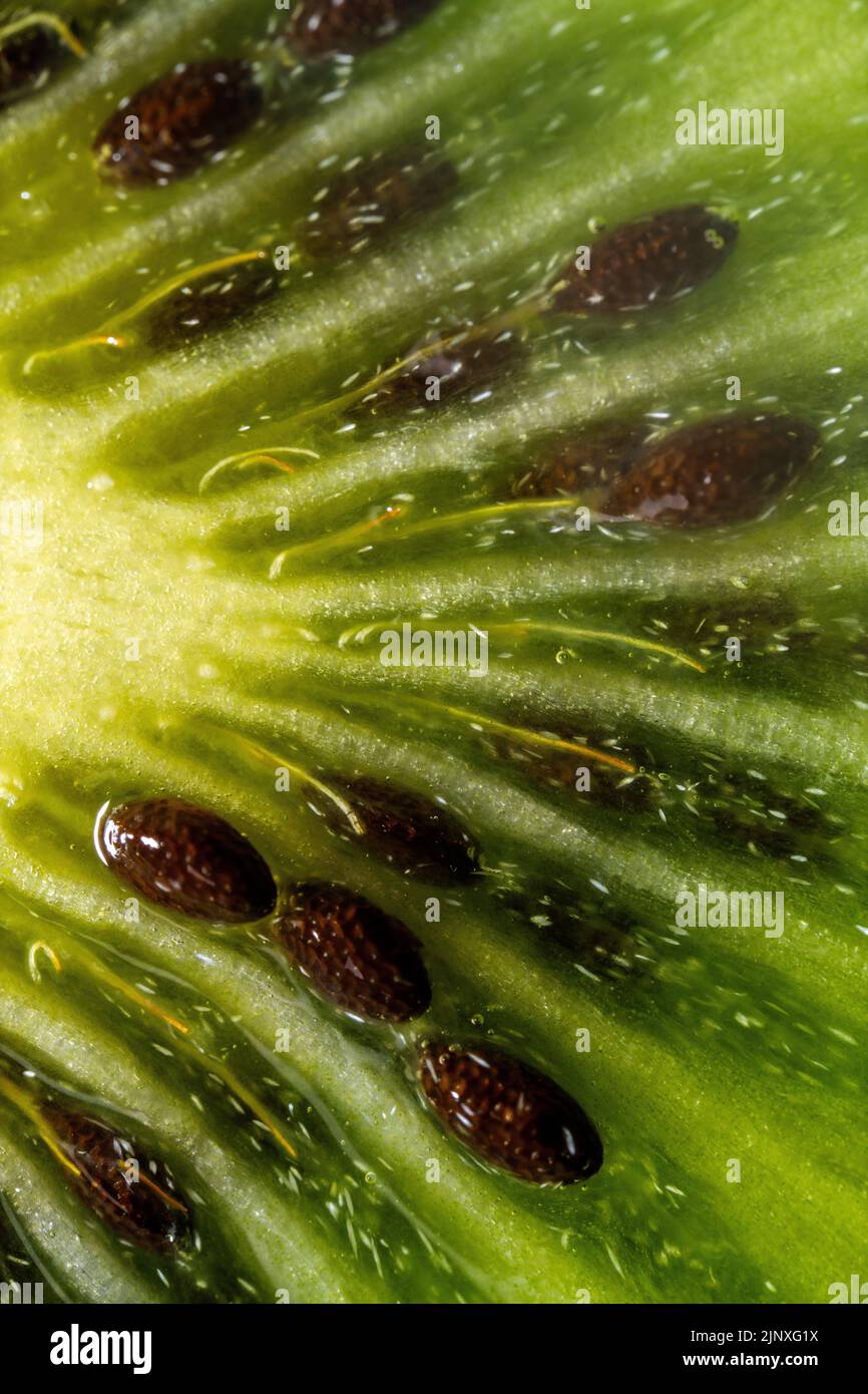 Ultra macro of the radial arrangement of the seeds inside a kiwi Stock Photo