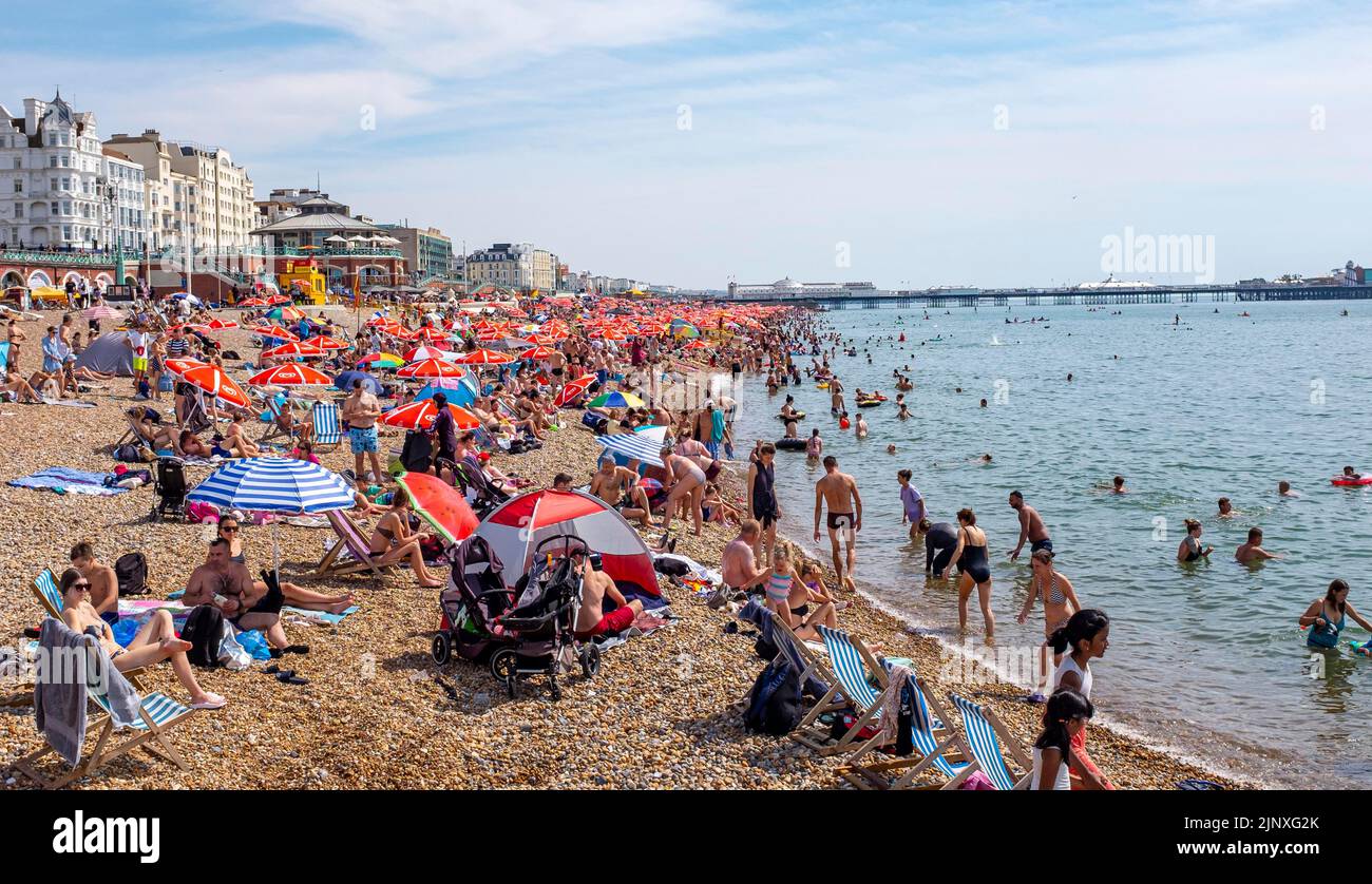 Brighton UK 14th August 2022 - Brighton beach is packed in hot sunshine as sunbathers make the most of the heatwave weather in the South East but it is set to change with thunderstorms forecast for the next few days  : Credit Simon Dack / Alamy Live News Stock Photo