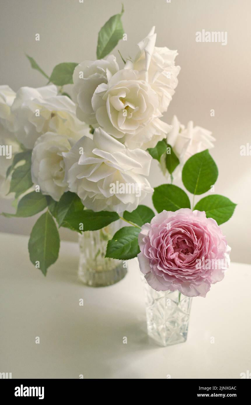 Flower arrangement of white roses and a pink peony in crystal glass ...