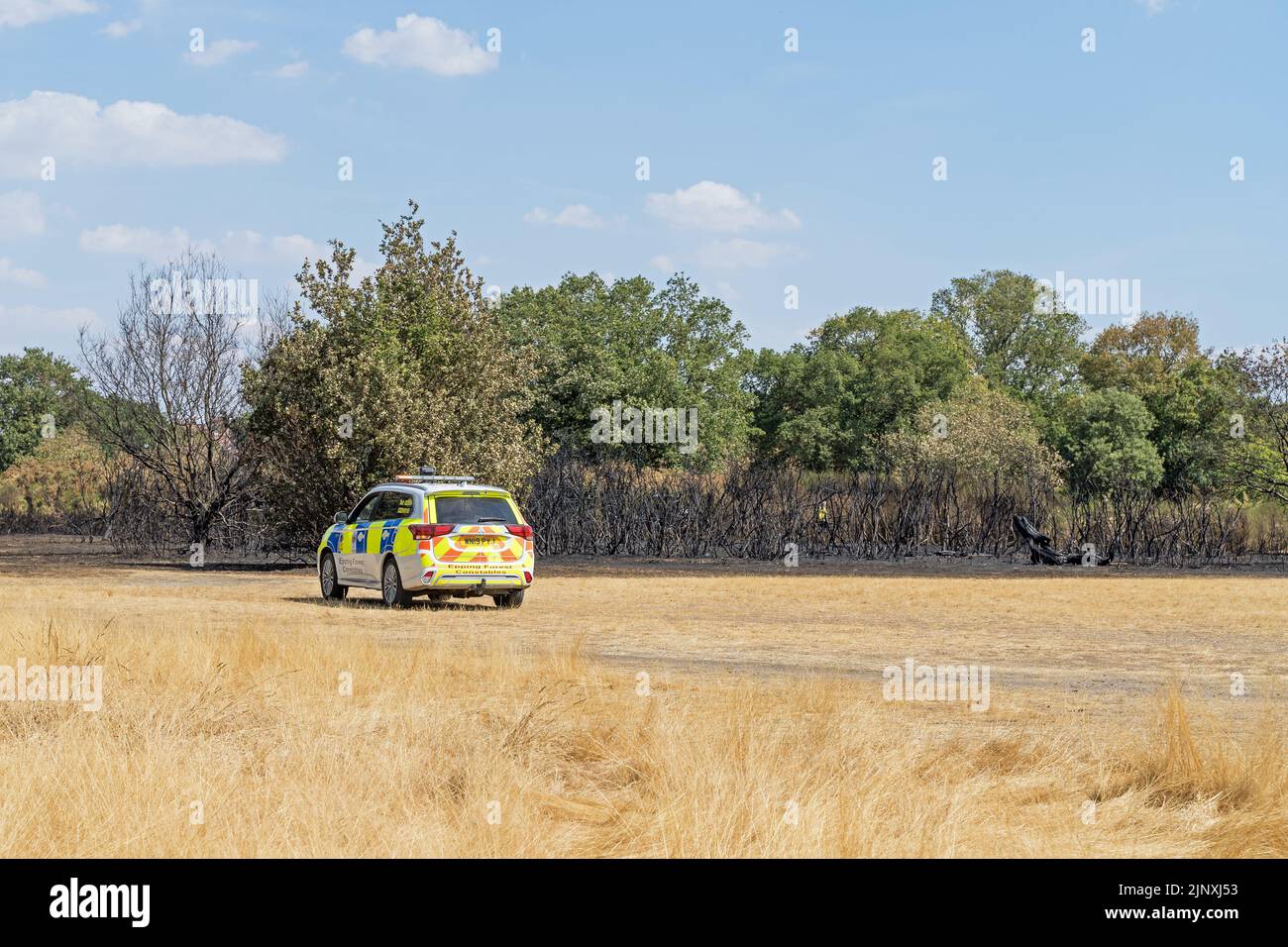 Epping Forest police and council deal with a large forest fire at Hollow Ponds after weeks of drought and heatwave. London - 14th August 2022 Stock Photo