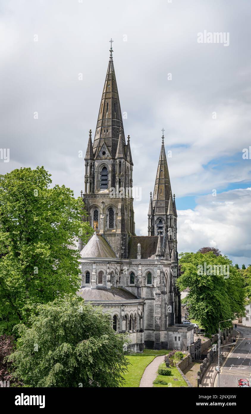Saint Fin Barre's Cathedral in cork city, County Cork, Ireland Stock Photo