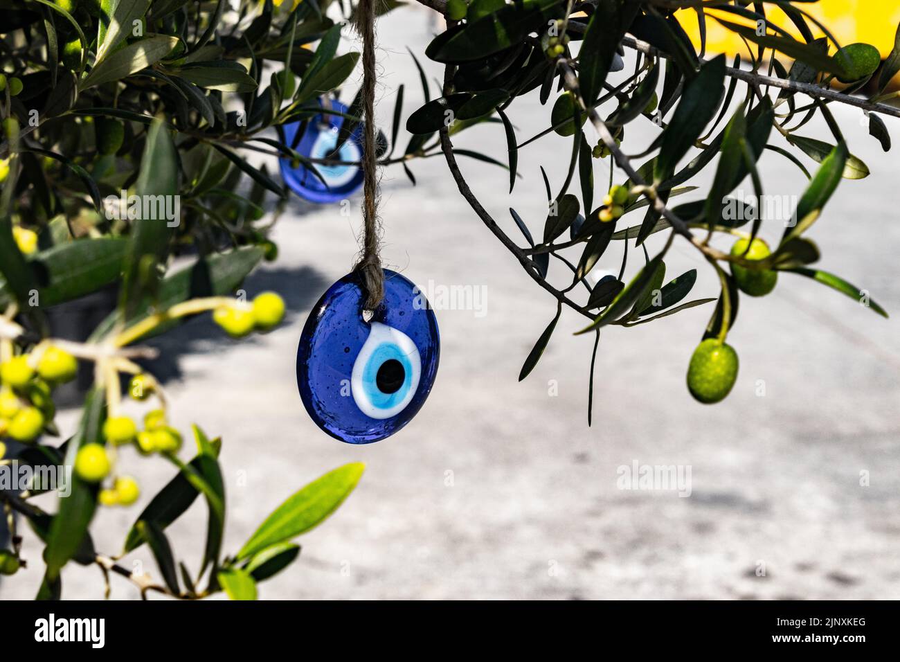 Nazar boncuk, a blue eye talisman, amulet to ward off the evil eye, hanging from olive tree in Istanbul, Turkey Stock Photo