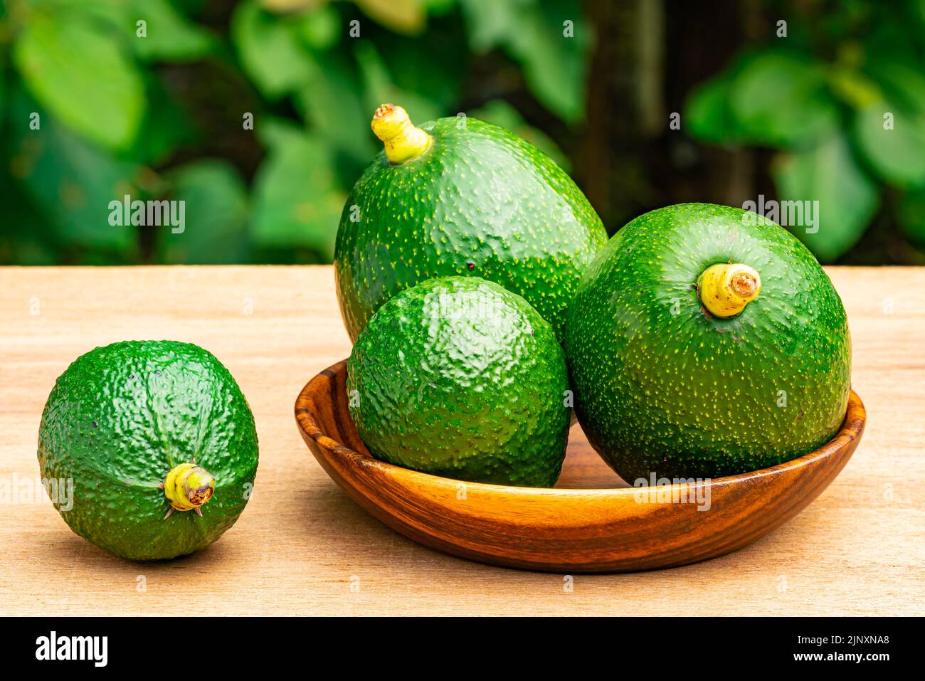 Closeup view group of fresh green avocadoes with stalk in wooden plate on wooden table. Stock Photo