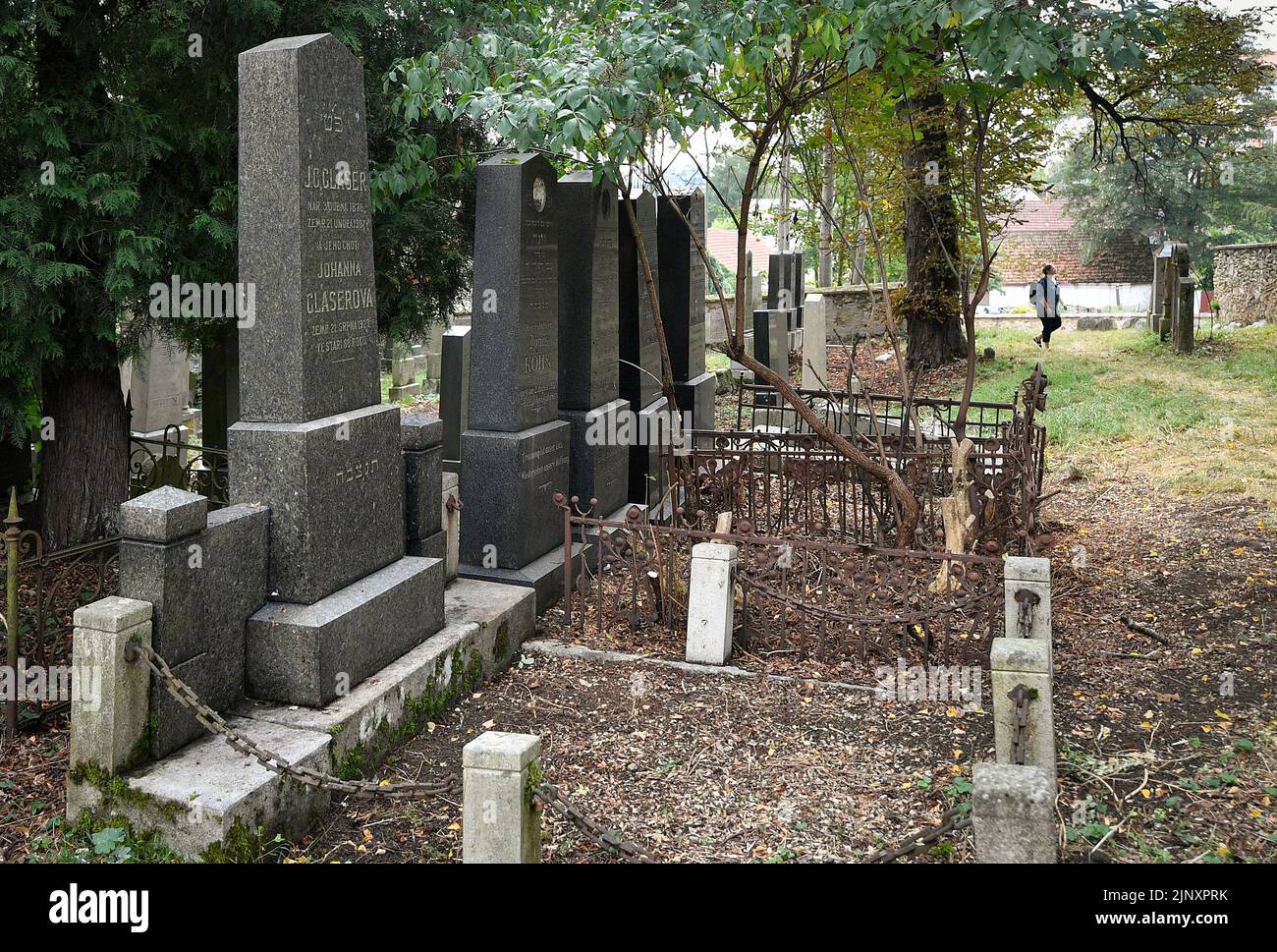 Nova Cerekev, Czech Republic. 14th Aug, 2022. Fifth Day of Jewish Heritage Sites, 55 selected Jewish Sights in the Czech Republic occasionally opened to public for free. Pictured Jewish cemetery in Nova Cerekev, Czech Republic, August 14, 2022. Credit: Lubos Pavlicek/CTK Photo/Alamy Live News Stock Photo