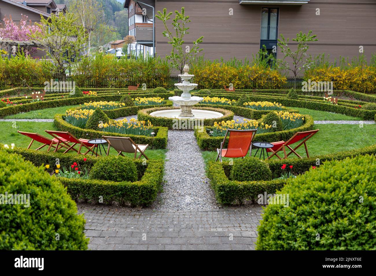 Formal garden with a fountain in the middle and yellow daffodils growing in the flower beds.  Red lounge chairs on the grass. Stock Photo
